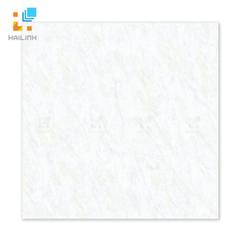 Ảnh Gạch Đồng Tâm DTD6060TRUONGSON001-FP 1