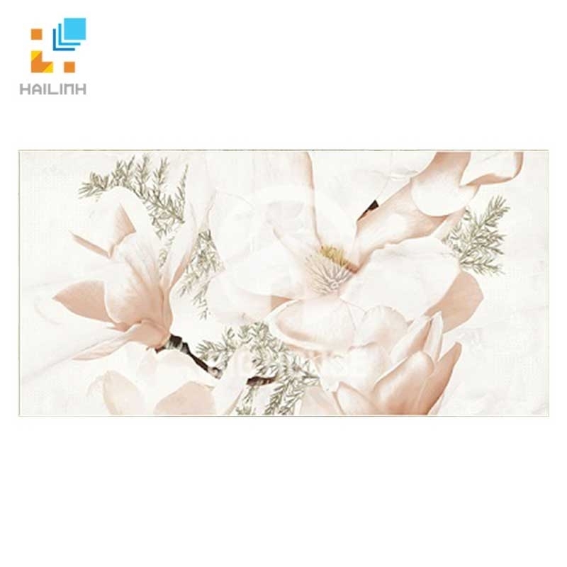 Gạch Đồng Tâm D3060B1ROXY003