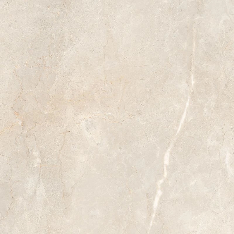 Gạch Ấn Độ I810