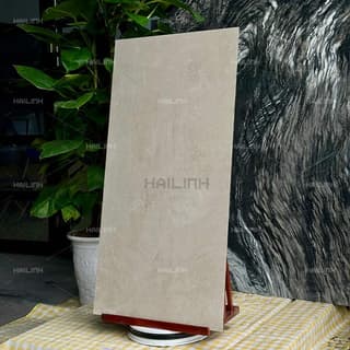 Ảnh Gạch Ấn Độ CSI612144 9