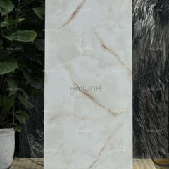 Ảnh Gạch Ấn Độ CSI612173 6