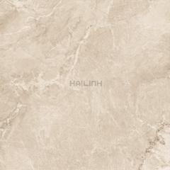 Ảnh Gạch Ấn Độ CSI88154 4