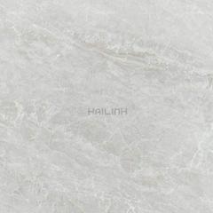 Ảnh Gạch Ấn Độ CSI88178 7