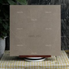 Ảnh Gạch Ấn Độ CSI88179 7