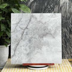 Ảnh Gạch Ấn Độ CSI88187 3