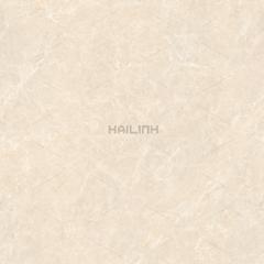 Ảnh Gạch Ấn Độ CSI88191 2