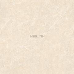 Ảnh Gạch Ấn Độ CSI88191 3