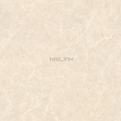 Ảnh Gạch Ấn Độ CSI88191 4