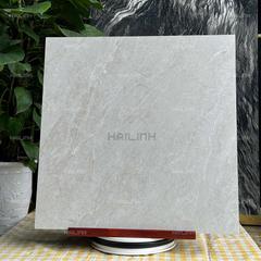 Ảnh Gạch Ấn Độ CSI88195 5