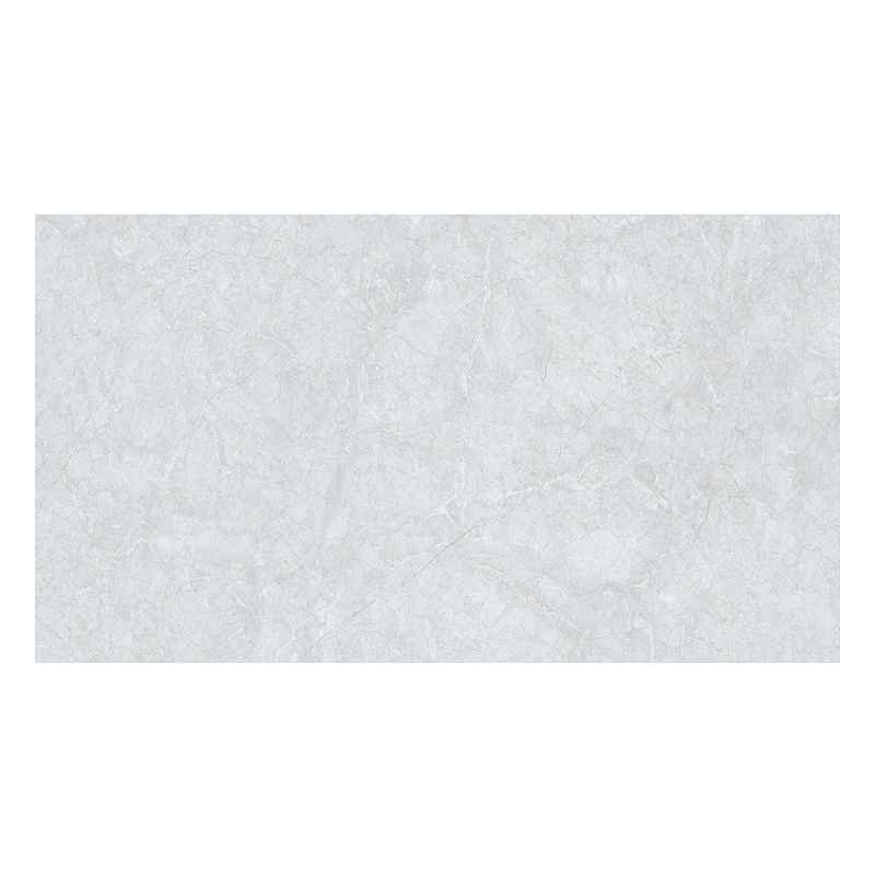 Gạch Đồng Tâm 4080FAME006-H+