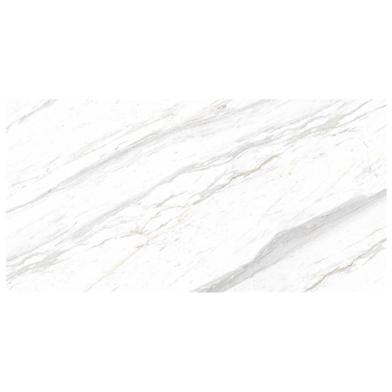 Gạch Eurotile SIG. P4801