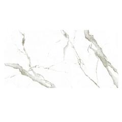 Ảnh Gach Eurotile SIG.P-61206 4