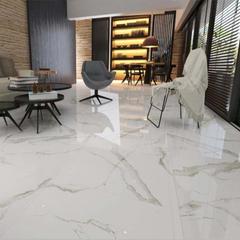 Ảnh Gạch Eurotile SIG.P-8806 2