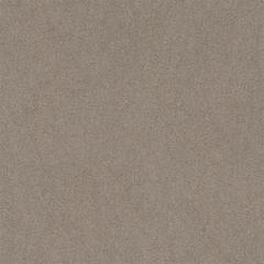 Ảnh Gạch HLG88018 4