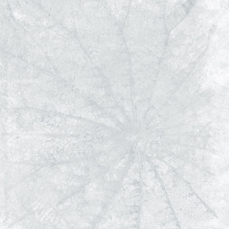 Gạch Taicera Lotus