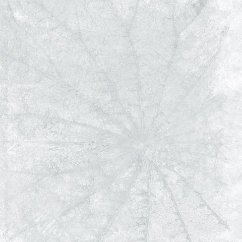 Gạch Taicera Lotus