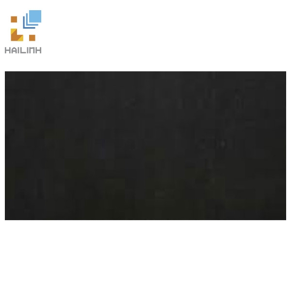 Gạch Taicera HC600*298-319