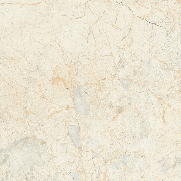 Gạch Taicera GP98903