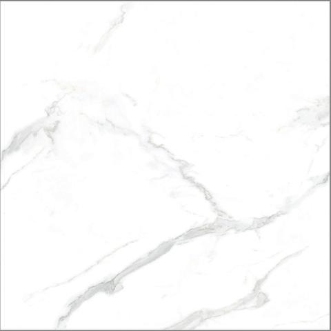 Gạch Taicera GP88805J 80x80cm