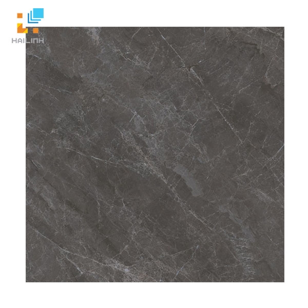 Gạch Viglacera SH-BS3304 màu đen xám