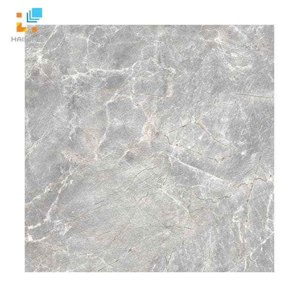 Gạch Viglacera SH-CE509 màu ghi xám