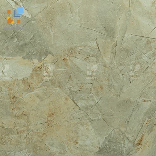 Gạch Viglacera H005