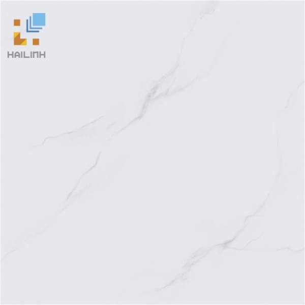 Gạch Viglacera VHP6601