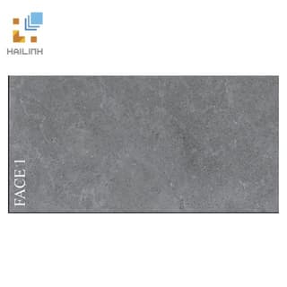 Ảnh Gạch Viglacera PT20-G3605 1