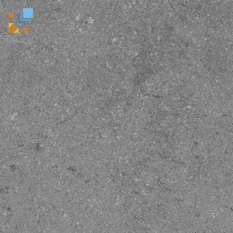 Gạch Viglacera PH22-B11