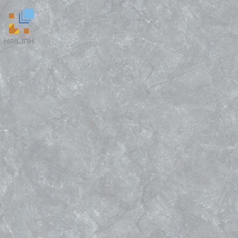 Gạch Viglacera CL-310