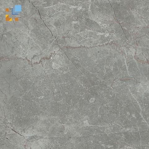Gạch Viglacera CL-BS3304