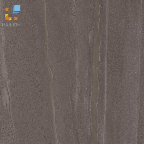 Gạch Viglacera CL-BS3306