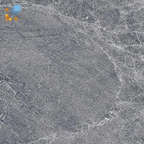 Gạch Viglacera CL20-3304
