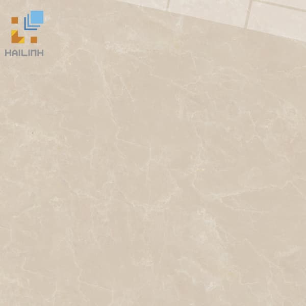 Gạch Viglacera CL-CE503