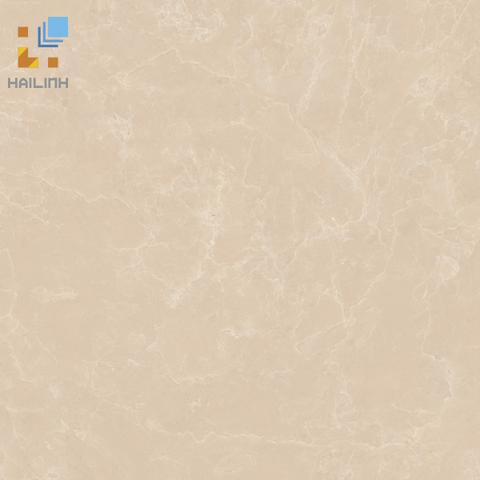 Gạch Viglacera CL-CE504