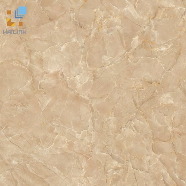 Gạch Viglacera CL-CE507