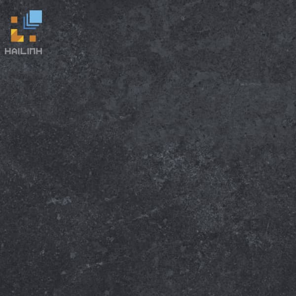 Gạch Viglacera PT20-G6604