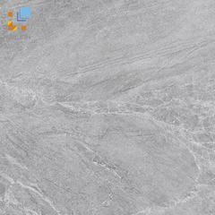 Ảnh Gạch Viglacera CL20-6603 1