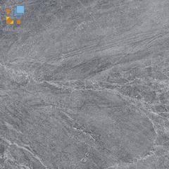 Ảnh Gạch Viglacera CL20-6604 1