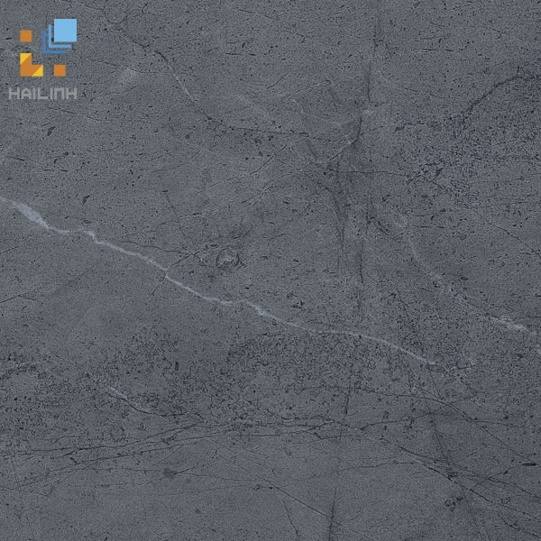 Gạch Viglacera CL20-6605