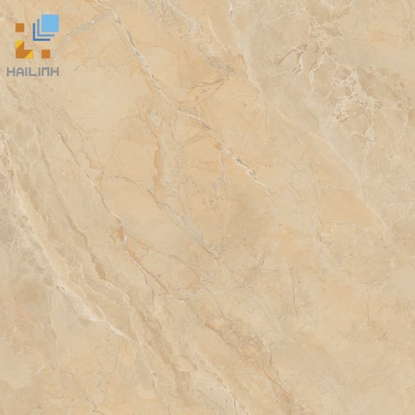 Gạch Viglacera SH-GP607