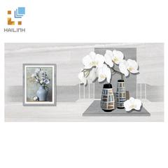 Ảnh Gạch Viglacera CL-GP4810A 1