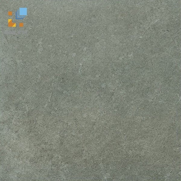 Gạch Viglacera Platinum PT 20-G203