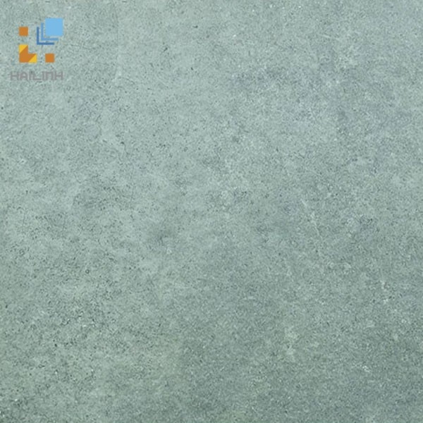 Gạch Viglacera Platinum PT 20-G603