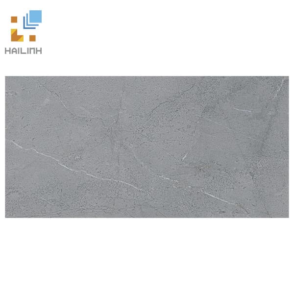 Gạch Viglacera SH-GP4806