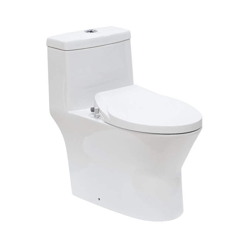 Bồn cầu 1 khối nắp rửa cơ JOMOO 11213-2-1/31Z-I011