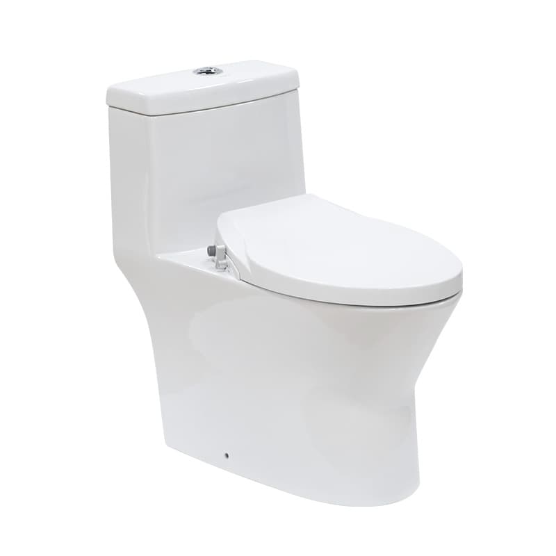Bồn cầu 1 khối nắp rửa cơ JOMOO 11213-2-1/31Z-I011