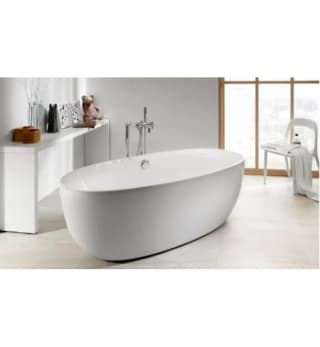 Ảnh Bồn tắm Roca A248218000 2