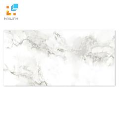 Ảnh Gạch TAICERA G63953 1