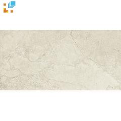 Ảnh Gạch Taicera G63813 1